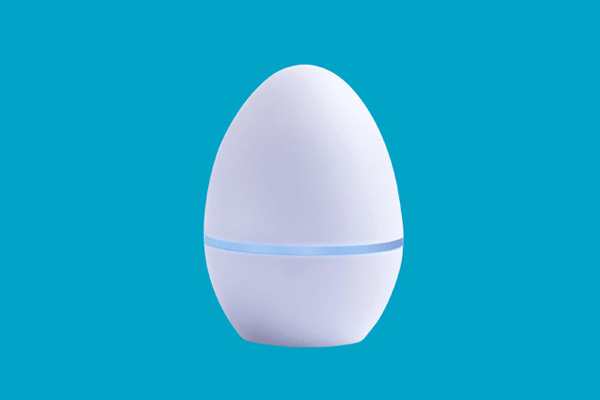 Intelligence Collection Egg - Losing All The Remote in Your Home