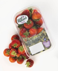 TCL Packaging Develops Micro-Perforated Lidding Films for Soft Fruit Packaging