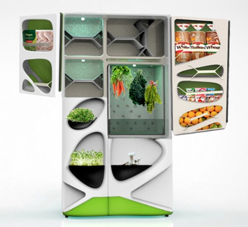 Ecological Refrigerator: Verdant_6