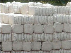 ICAC Pegs Cotton Ending Stocks at 9.5mn Tons Outside China