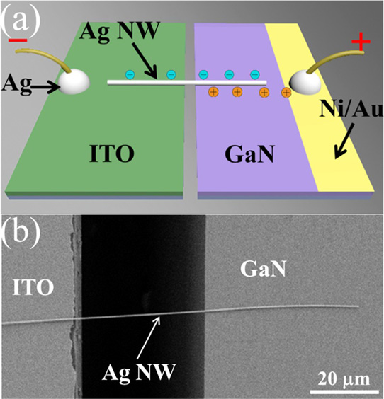 Silver Nanowires and Gallium Nitride Increase Efficiency of Schottky UV-LEDs