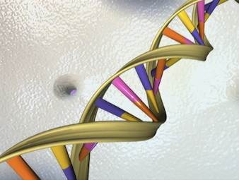 Harvard Stores 70 Billion Books Using DNA