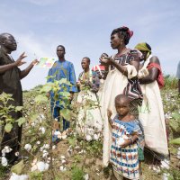 Ethiopian Farmers to Grow CmiA Sustainable Cotton