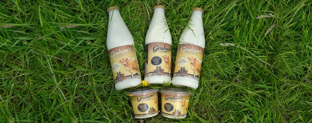 Graham’s The Family Dairy Plans to Build &pound;20m Facility in Stirling, Scotland