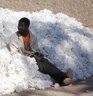 Ugandan Cotton Industry Back on Revival Track