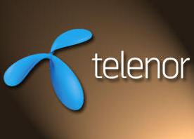 Telenor aims to buy its way back into Indian mobile market after losing licenses