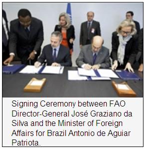 UN+Brazil: South-South Alliance to Support Cotton Farmers