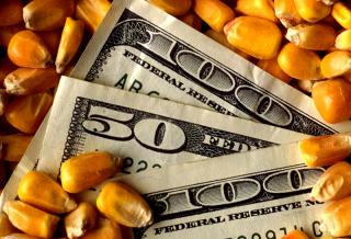 Midwest Corn Gross Revenue Down $200 an Acre From Two Years Ago
