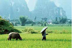 Focus Vision - China Culture - BEST NATURAL BEAUTY : GUILIN_2