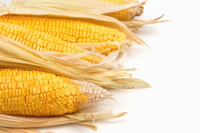 USDA Develops New Certification for GMO-Free Foods