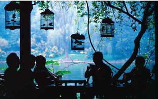 Focus Vision - China Culture - TEA HOUSE IN SICHUAN
