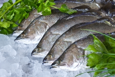 EFSA Recommends Storage Criteria to Avoid Histamine in Pre-Packaged Fish