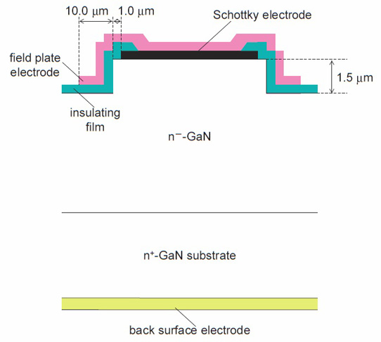 Vertical Schottky Barrier Diodes on Free-Standing Gallium Nitride