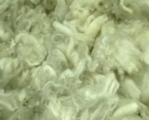 South African Wool Market Softens