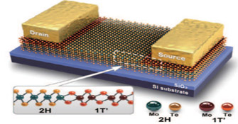 2d Transistor Made From Dual-Phase Transition-Metal Dichalcogenide Crystal_2