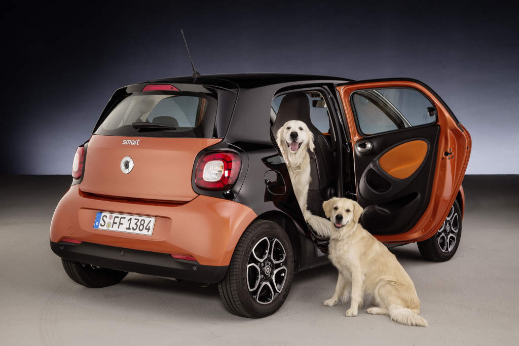 Daimler Designs Car Cushions for Pet Dogs
