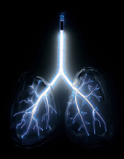 Jessica Lloyd-Jones'S Anatomical Neon: Merging Art, Science & Tech