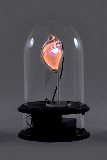 Jessica Lloyd-Jones'S Anatomical Neon: Merging Art, Science & Tech_1