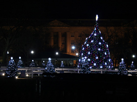 Lighting The White House's Christmas Trees with LEDs