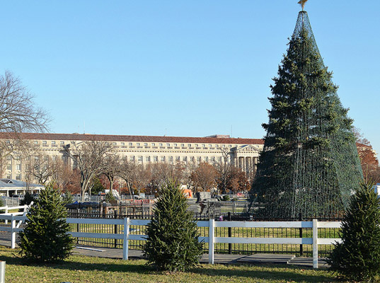 Lighting The White House's Christmas Trees with LEDs_1