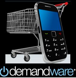 Demandware Launches New Tool for Large Retailers & Brands