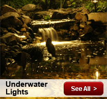 12 Volt Lighting Launches Underwater Outdoor Lighting