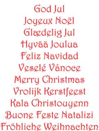 Merry Christmas From Lsi Online- See You in 2013!