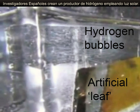'Artificial Photosynthesis' Turns Water Into Hydrogen
