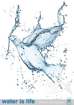 Results of The Water Is Life Poster Competition_6