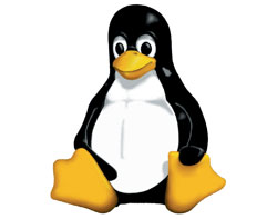 IDC: Linux Drives Datacentre Server Shipments
