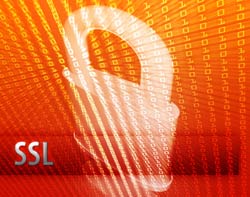 Entrust Commits to SSL Despite CA/Browser Forum Exit