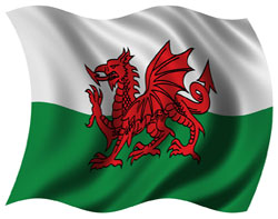 BT Wins Welsh Broadband Contract