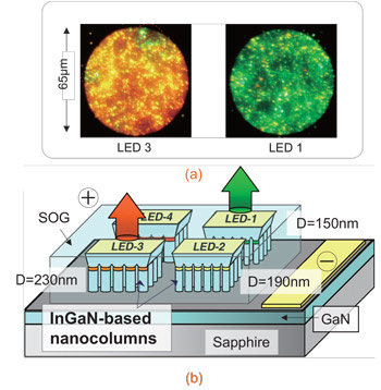 Nanocolumns Support Monolithic Multi-Wavelength Emission
