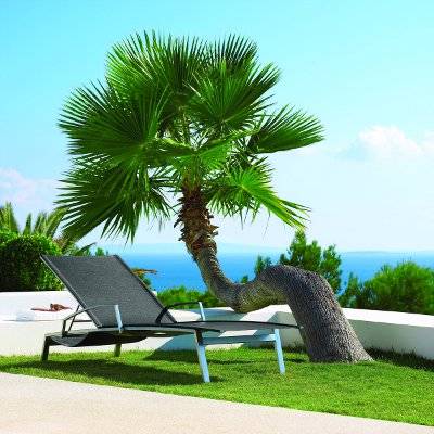 Patio Chaise, Lounge Chairs from Gloster_4