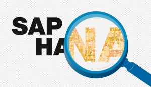 HANA Aids SAP Software Revenue Boost in Q4