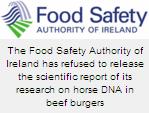 Doubts Raised About DNA Study of Horse Meat in Burgers