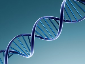 DNA as a Viable Storage Solution