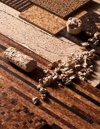 Cork Flooring Pros and Cons