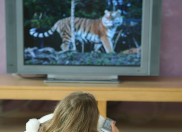 Secure Your Tvs to Keep Kids From Harm