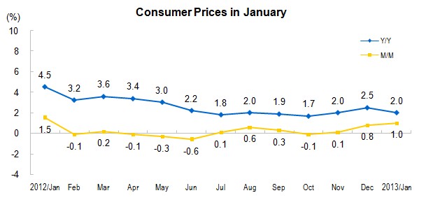 Consumer Prices for January 2013