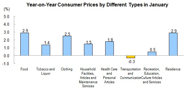 Consumer Prices for January 2013_3