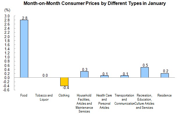 Consumer Prices for January 2013_4