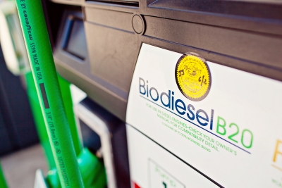 Algae-derived diesel wins popular vote at pumps