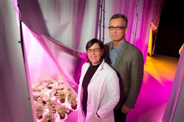 Sweden's Startup Heliospectra Launched L4A Series 10 for Advance Research in Plant Science_1