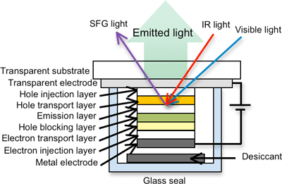 Measuring Inside an Active OLED
