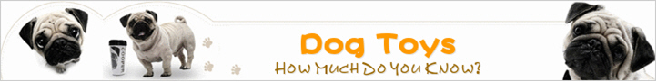 Dog Toys - How Much Do You Know ?