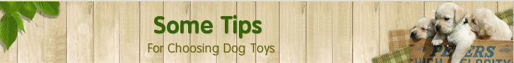 Dog Toys - How Much Do You Know ?_18