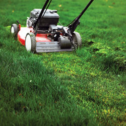 Lawn Mower Buying Guide - Tips On Picking the Best Lawn Mower for Your Yard_1