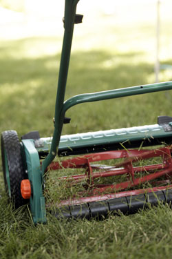 Lawn Mower Buying Guide - Tips On Picking the Best Lawn Mower for Your Yard_2