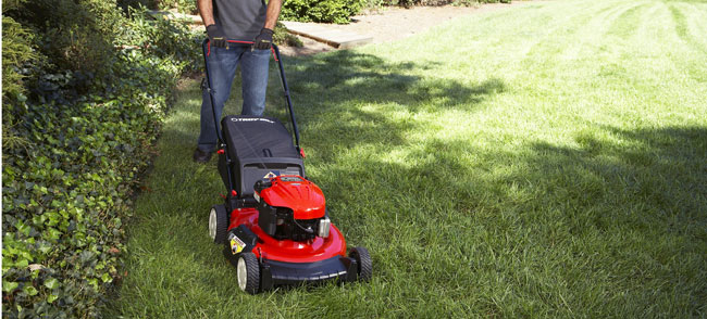 Maintain a Push Lawn Mower -1